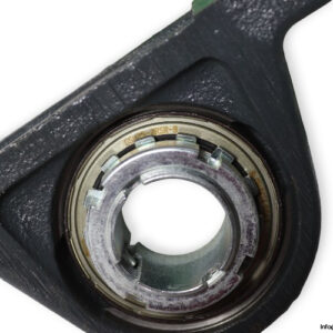 ina-RASEA25-N-plummer-block-housing-unit-(new)-(carton)