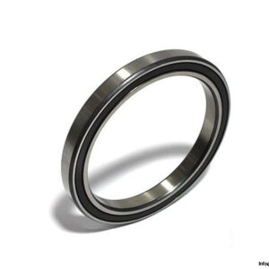 elges-61819-2RS-Y-deep-groove-ball-bearing