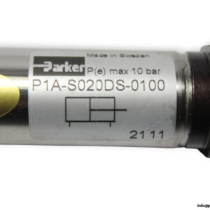 parker-P1A-S020DS-0100-iso-cylinder-new-3