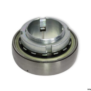 ina-GSH40-2RSR-B-insert-ball-bearing-(new)