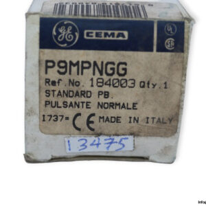ge-P9MPNGG-standard-push-button-(new)-2
