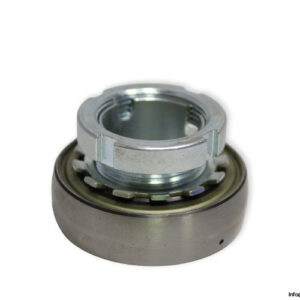 ina-GSH25-2RSR-B-insert-ball-bearing-(new)