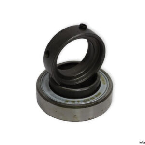 ina-RALE25-NPP-insert-ball-bearing-(new)