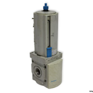 festo-529619-filter-used