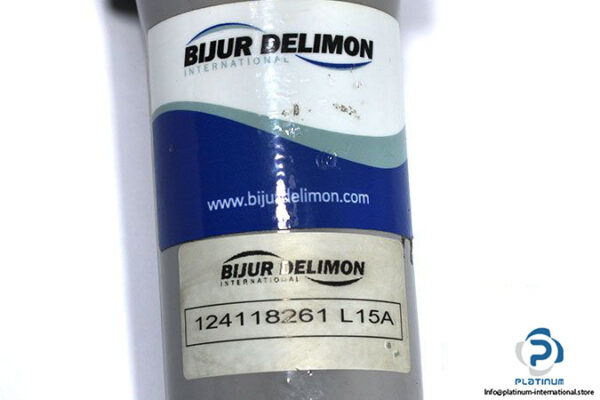 bijur-delimon-124118261-l15a-filter-2
