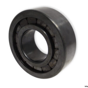 ina-SL19-2320-C3-cylindrical-roller-bearing-(new)