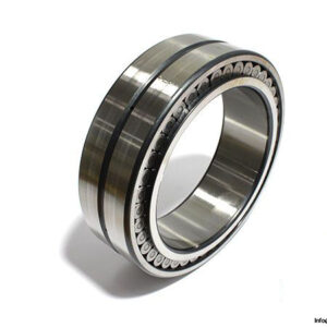 ina-SL02-4930-A-C5-double-row-cylindrical-roller-bearing