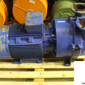 nash-elmo-2BV5161-0KD02-6S-Z-ring-vacuum-pump