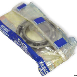 nachi-6006-C3-deep-groove-ball-bearing-(new)-(carton)