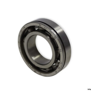 dkfddr-6005-N-P66-deep-groove-ball-bearing-(new)