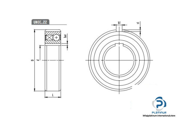 c-t-s-ukcc-25-zz-one-way-clutch-bearing-2