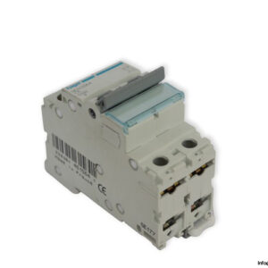 hager-NCN206A-automatic-circuit-breaker-(New)