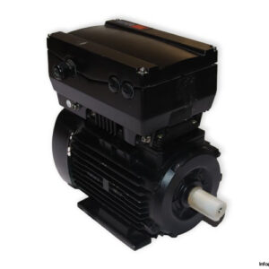 tee-Q2D-90L4D-40-H-B14-motor-(new)