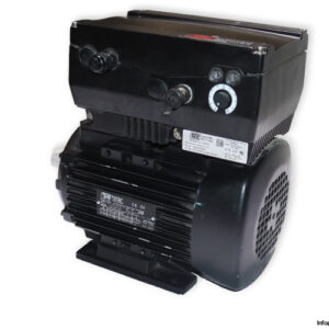 tee-Q2D-90L4D-40-H-B14-motor-(new)-1