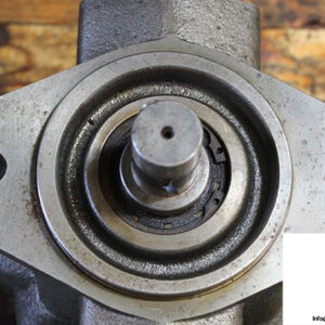 berarma-02-psp3-63-f-h-r-m-variable-displacement-vane-pump-2