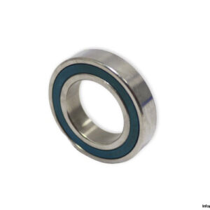 SS6905-2RS-deep-groove-ball-bearing-(new)