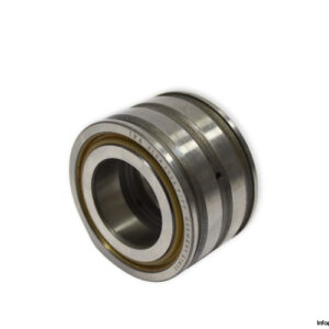 ina-SL04-5006-P_PP-double-row-cylindrical-roller-bearing-(new)