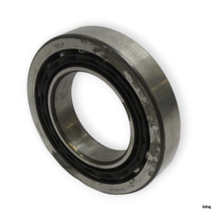 bearings-image-009