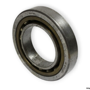bearings-image-009