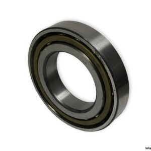 bearings-image-009