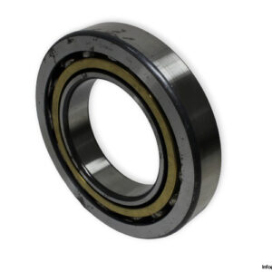 bearings-image-009