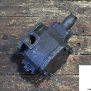 hydraulic-ring-pvs-25-a063a3-variable-vane-pump-1