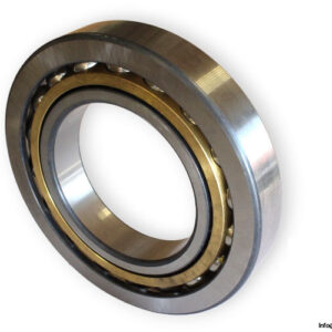 bearings-image-009