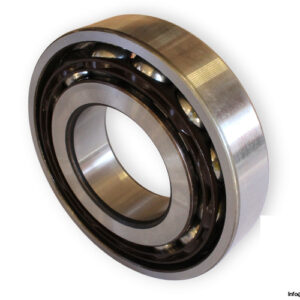 bearings-image-009
