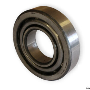 bearings-image-009