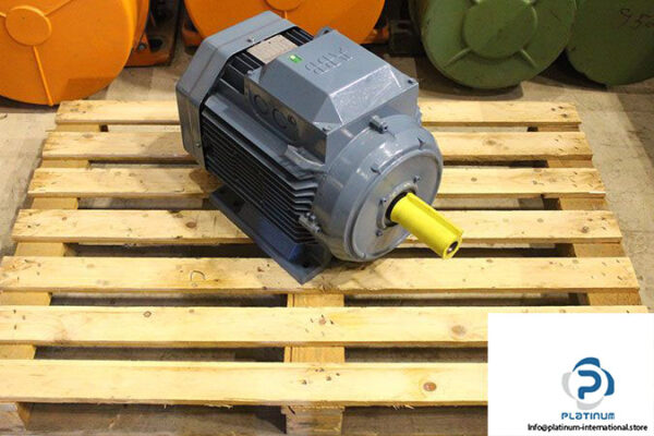 abb-m3aa-160-ma-8-3-phase-electric-motor-1