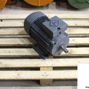 vem-g21r-132s-4-ew-pt-spez-we-hw-3-phase-electric-motor-1