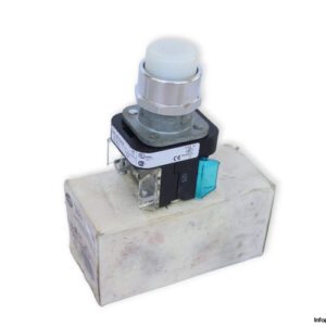 allen-bradley-800T-QB24WD1V-illuminated-push-button-(new)