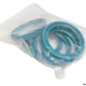 RL26N0560-Z20-rod-seal-new