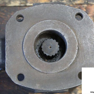 hydraulic-ring-pvs-25-a063a3-variable-vane-pump-2