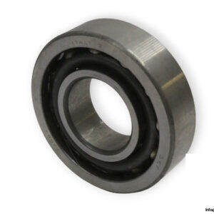 bearings-image-009