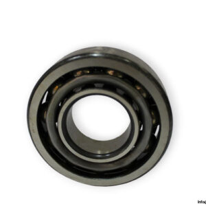 RIV-7307-angular-contact-ball-bearing