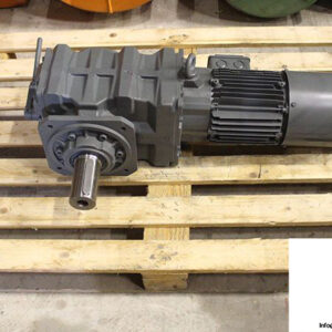 bauer-BM40-07V_D09XA4-TF-S_ES010A9_S01-overhead-monorail-geared-motor