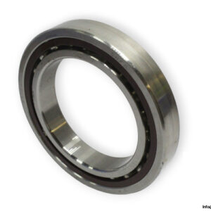 bearings-image-009