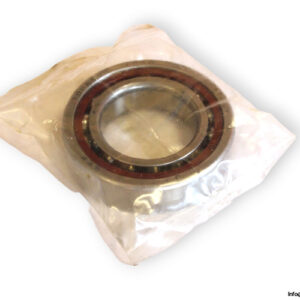 bearings-image-009
