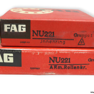 fag-NU221-cylindrical-roller-bearing-(new)-(carton)-2