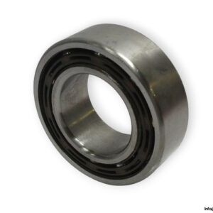 bearings-image-009