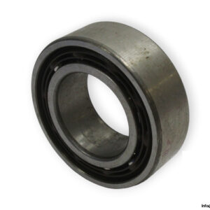 bearings-image-009