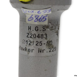 h-g-s-Z20483-hydraulic-cylinder-used-2