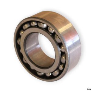 bearings-image-009