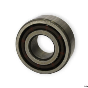 skf-3204-ATN9_C2-double-row-angular-contact-ball-bearing