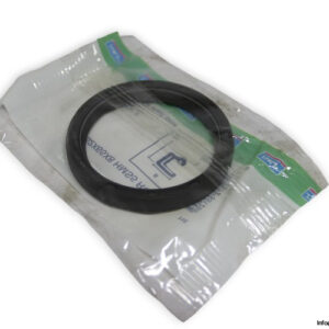 skf-CR-52X65X8-HMS5-RG-radial-shaft-seal-(new)