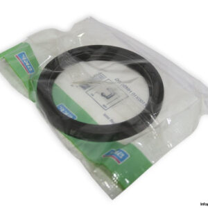 skf-CR-80X100X10-HMS5-RG-radial-shaft-seal-(new)