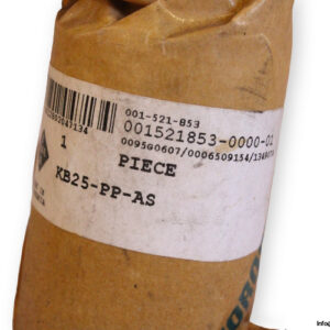 ina-kb25-pp-as-linear-ball-bearing-1