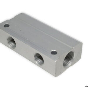 aignep-060480011BCAG-double-distribution-manifold-(new)