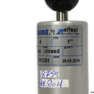 Valvaut-Z101201-gate-valve-(new)-2